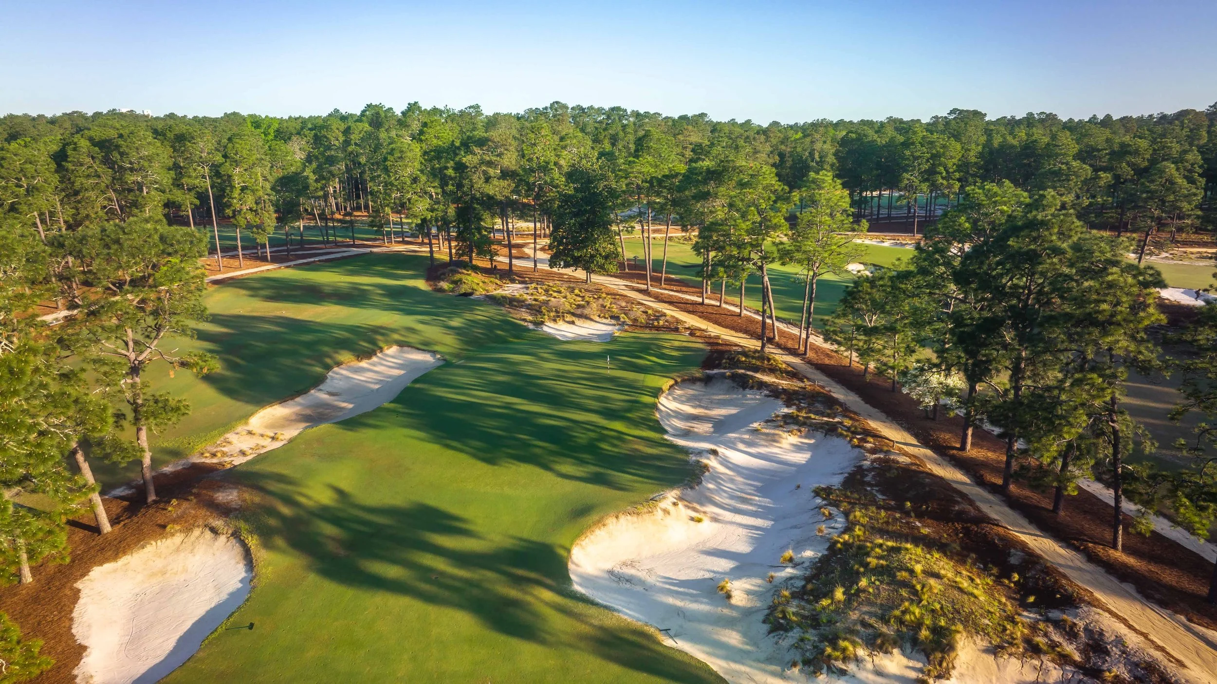 Pinehurst No. 2 — PJKoenig Golf Photography